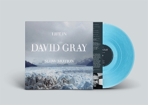 Life In Slow Motion by Gray, David