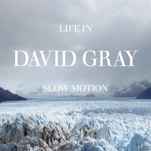 Life In Slow Motion by Gray, David