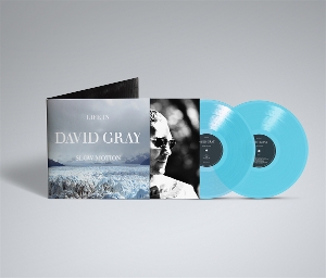 Life In Slow Motion by Gray, David
