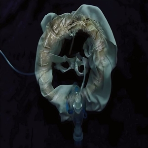 Initiatrix