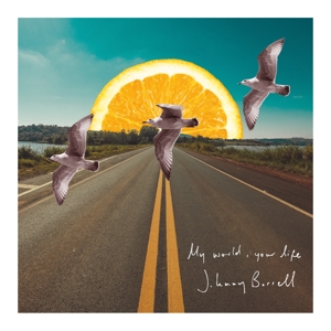 My World Your Life by Borell, Johnny & Z...
