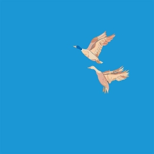 Hallo & Ciao by N.I.K.O.