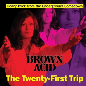 Brown Acid: the 21th Trip by V/A