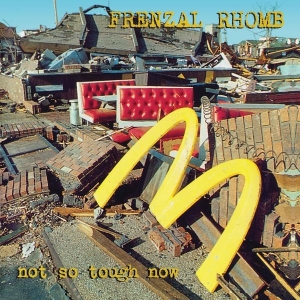 Not So Tough Now by Frenzal Rhomb