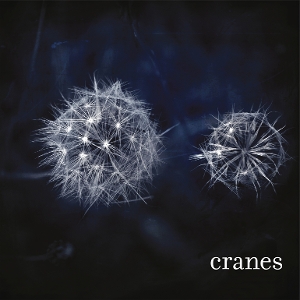 Cranes by Cranes
