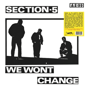We Won't Change by Section 5