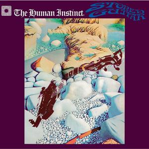 Stoned Guitar by Human Instinct