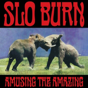 Amusing the Amazing by Slo Burn