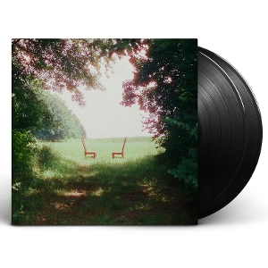 Singin' To an Empty Chair by Ratboys