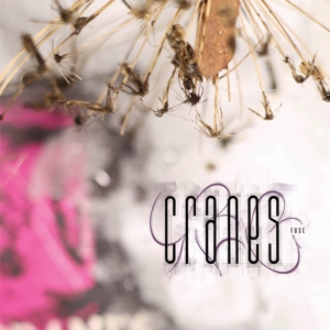 Fuse by Cranes