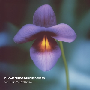 Underground Vibes