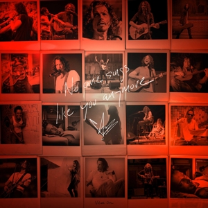 No One Sings Like You Anymore by Chris Cornell