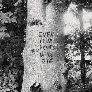 Even Your Drums Will Die: Live At Pendarvis Farm 2 by Swift, Richard