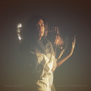 Waking the Dreaming Body by Walker, Karima