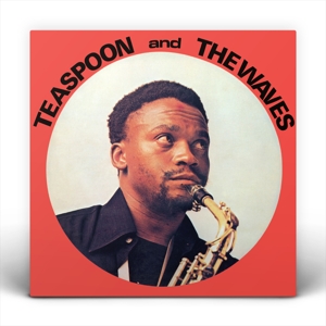 Teaspoon & the Waves