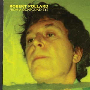 From a Compound Eye by Pollard, Robert