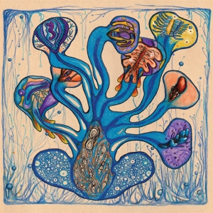 Fleuves De L'ame by Hedfi, Houeida