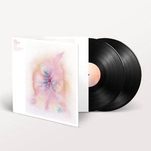 Music For Psychedelic Therapy by Hopkins, Jon