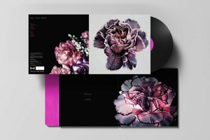 Still Life by Slow Show