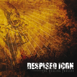 Healing Process by Despised Icon