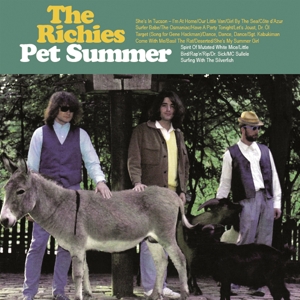Pet Summer/ Don't Wanna Know(Green)