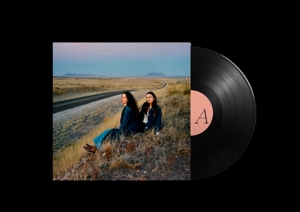 I Walked With You a Ways by Plains
