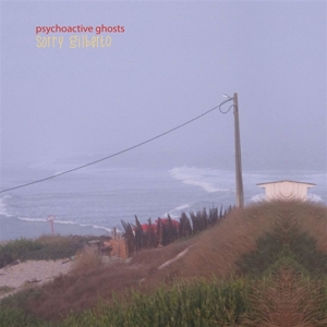 Psychoactive Ghosts by Sorry Gilberto