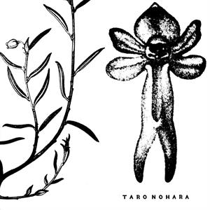 Poly-Time Soundscapes / Forest of the Shrine by Nohara, Taro
