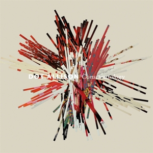 Consciousology by Allison, Dot