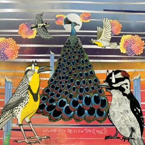 Fly or Die Fly or Die Fly or Die ((World War)) by Branch, Jaimie