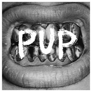 Pup by Pup