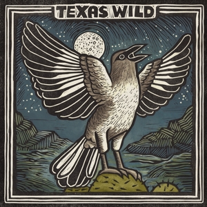 Texas Wild by V/A