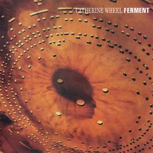 Ferment by Catherine Wheel