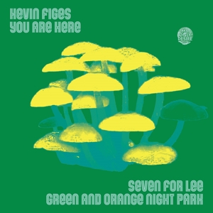 Seven For Lee by Figes, Kevin