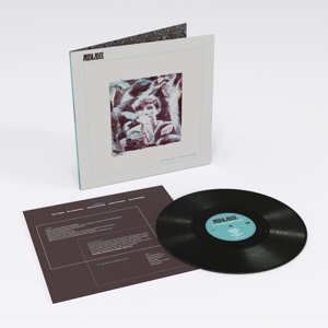 For the Sake of Bethel Woods by Midlake