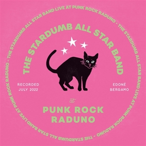 Live At Punk Rock Raduno