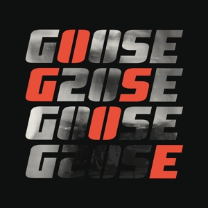 G20se 20y Celebration by Goose