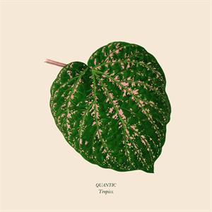 Tropics by Quantic
