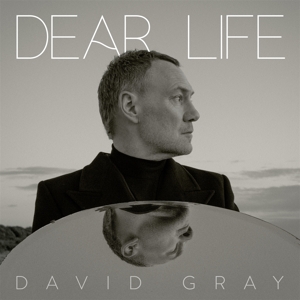 Dear Life by Gray, David