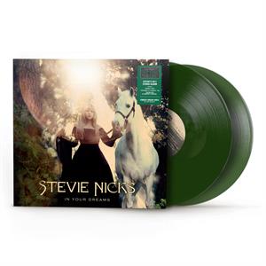 In Your Dreams by Stevie Nicks