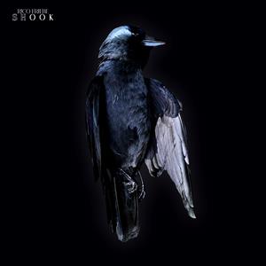 Shook by Friebe, Rico