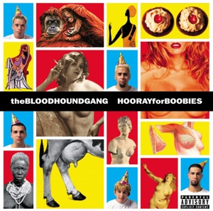 Hooray For Boobies by Bloodhound Gang