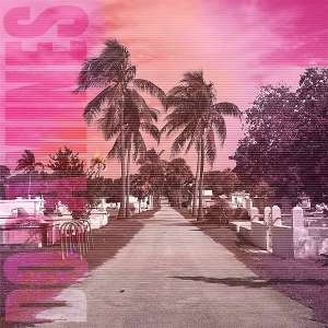 80/20 by Dopamines