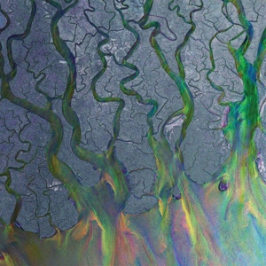 An Awesome Wave by Alt-J