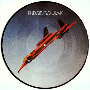Squawk