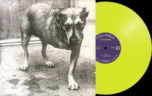 Alice In Chains by Alice In Chains