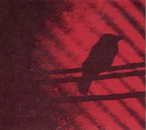 Born Into Trouble As the Sparks Fly Upward by Silver Mt. Zion