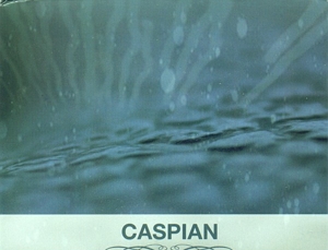 You Are the Conductor by Caspian