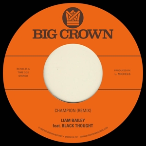 Champion / Ugly Truth by Bailey, Liam