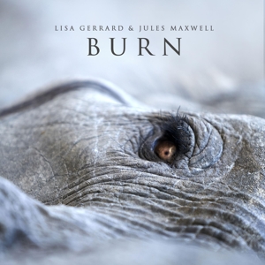 Burn by Gerrard, Lisa & Ju...